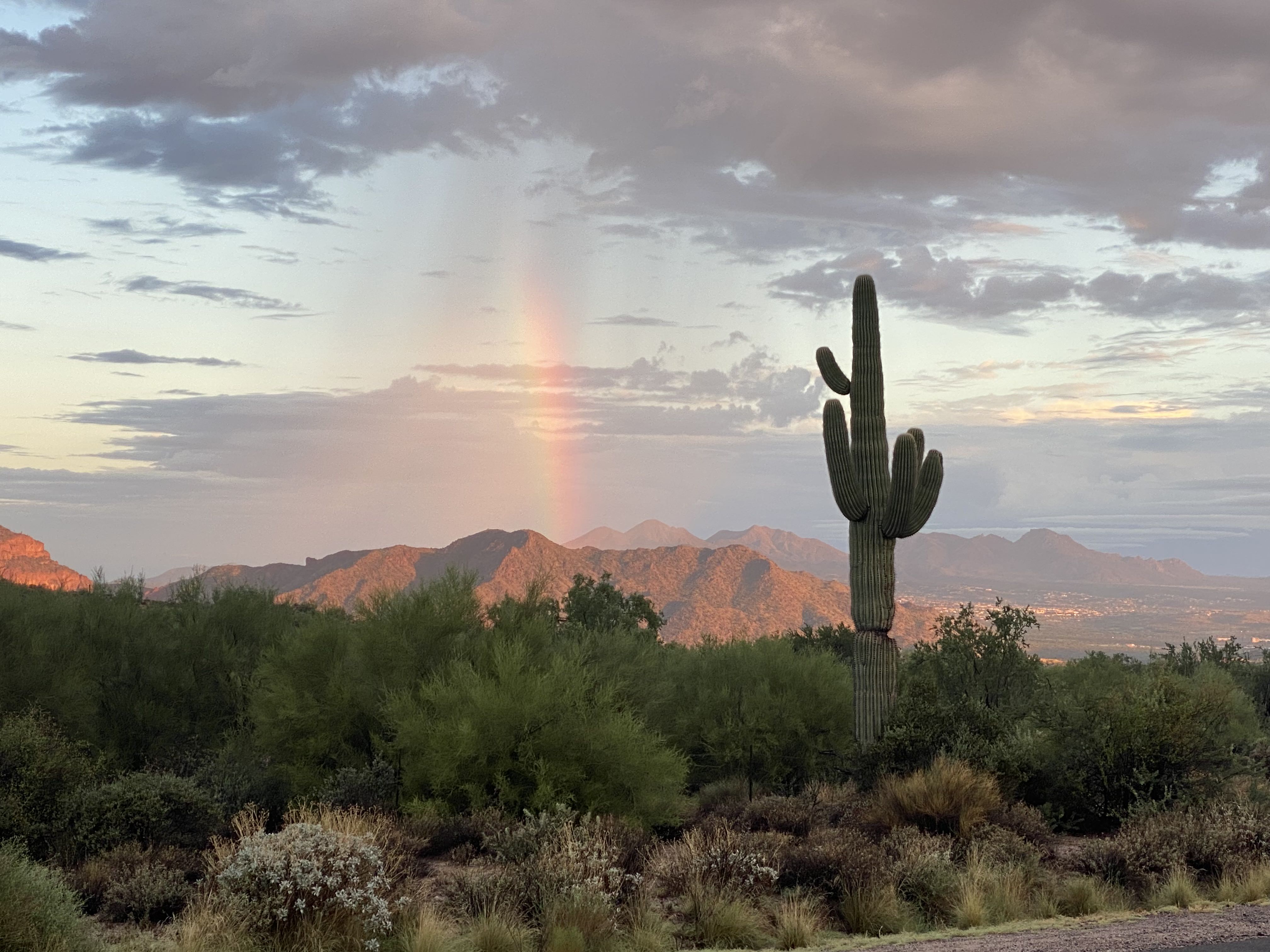 Calming therapy background